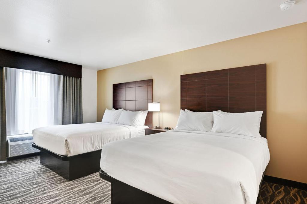 Cobblestone Hotel & Suites - Mosinee Εξωτερικό φωτογραφία